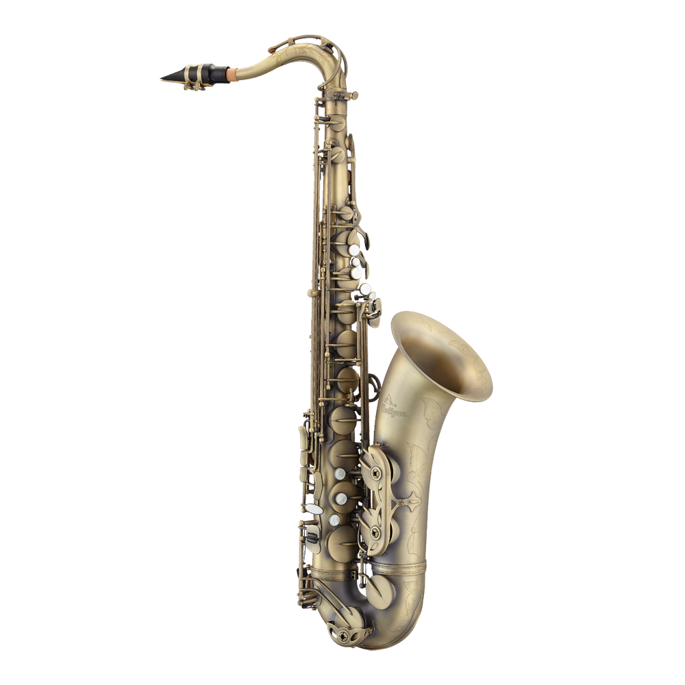Yamaha YAS62, Saxophone alto professionnel, doré