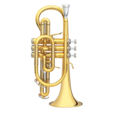 CORNET 3142/2-GL B&S CHALLENGER II BROCHON - Photo 1